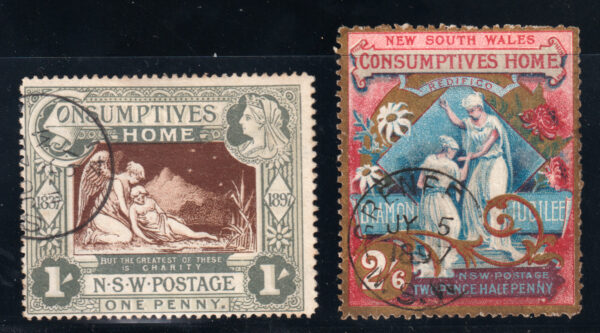 New South Wales SG281 2/6 Charity VFU Cat £275