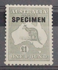Australia 1923-4 Kangaroos SG75 £1 Grey Specimen MNG Cat £120